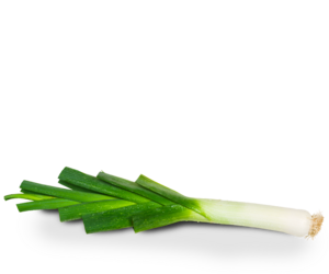 Leek